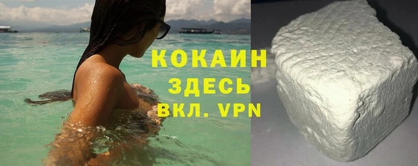дживик Новозыбков