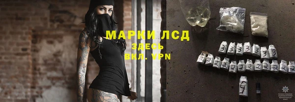 дживик Новозыбков