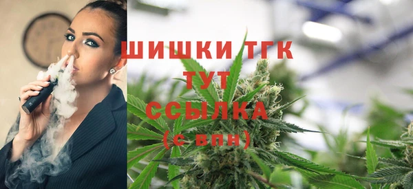 дживик Новозыбков