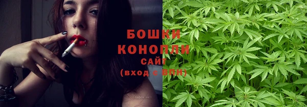 дживик Новозыбков