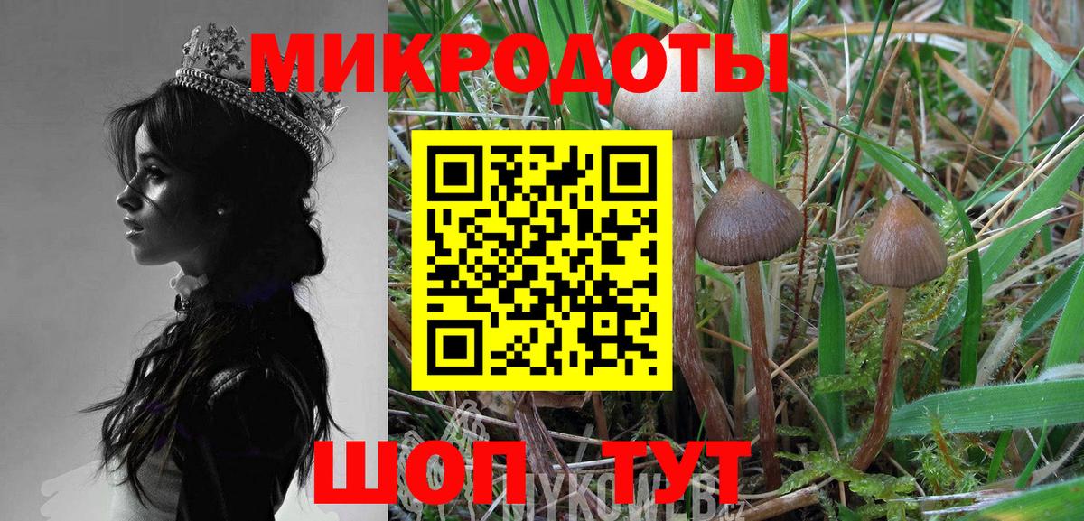 Псилоцибиновые грибы Psilocybe Алексин