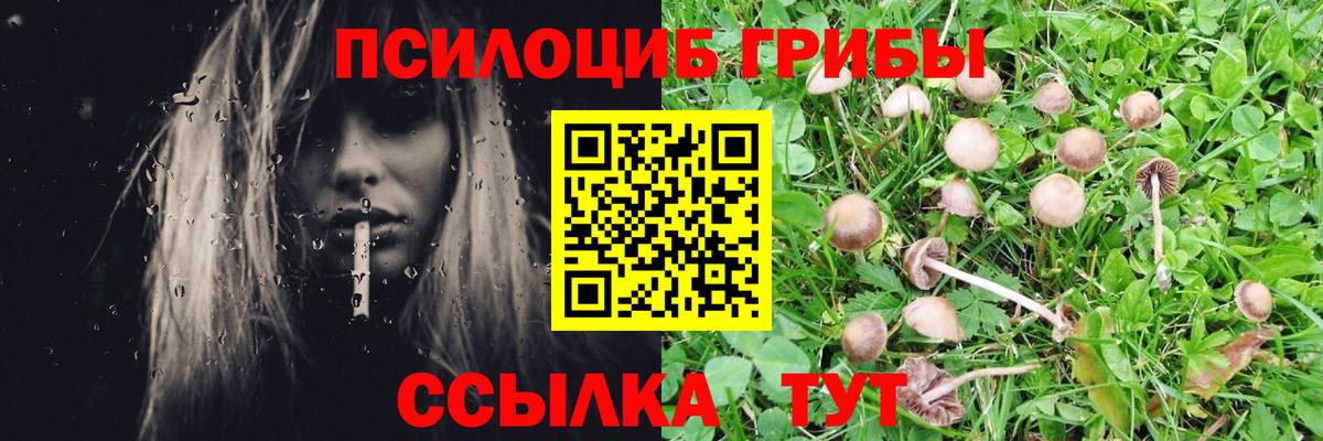 Псилоцибиновые грибы мицелий  сколько стоит  Вход с VPN  Алексин  Псилоцибиновые грибы MAGIC MUSHROOMS 