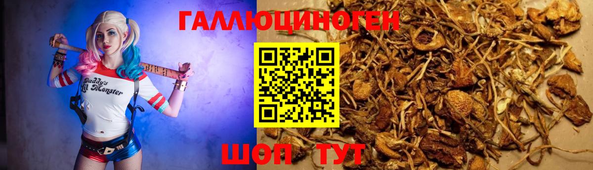 Галлюциногенные грибы MAGIC MUSHROOMS  Алексин 