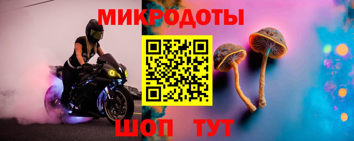 Псилоцибиновые грибы Psilocybine cubensis  Вход с VPN  Алексин  Псилоцибиновые грибы Magic Shrooms 