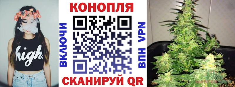 наркотики  Алексин  МАРИХУАНА ГИДРОПОН 